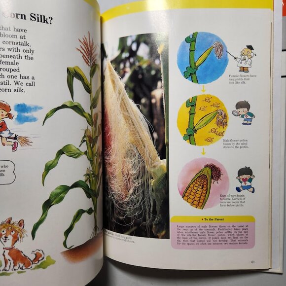 Flowers & Trees Child's First Library of Learning Hardcover Book Science Stem Ho - Picture 7 of 16